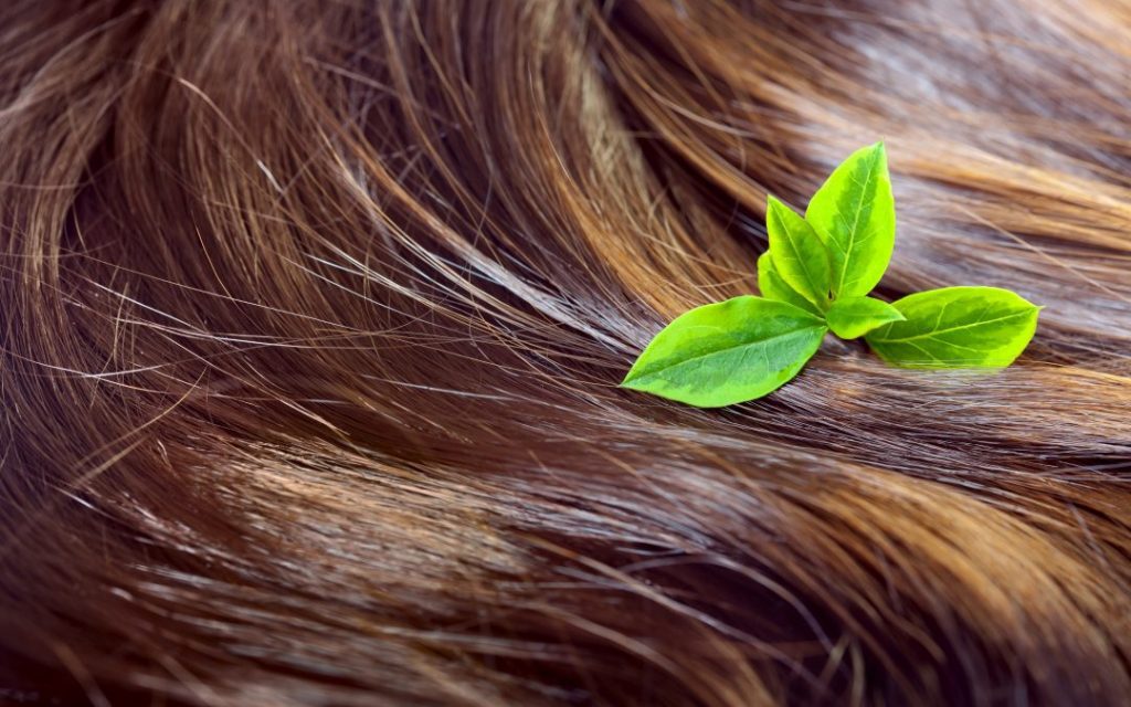 cuidados para el cabello